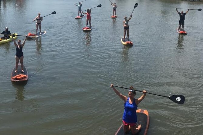 Dolphin, Manatee and Sea Turtle Adventure Tour of St. Augustine - Wildlife Sightings