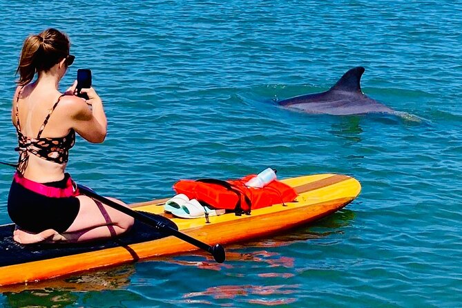 Dolphin, Manatee and Sea Turtle Kayak Adventure - Unique Experiences on the Tour