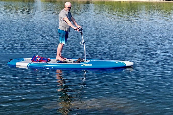 Dolphin & Manatee Watching Stand Up Pedalboarding Tour - Weedon Island Preserve Exploration