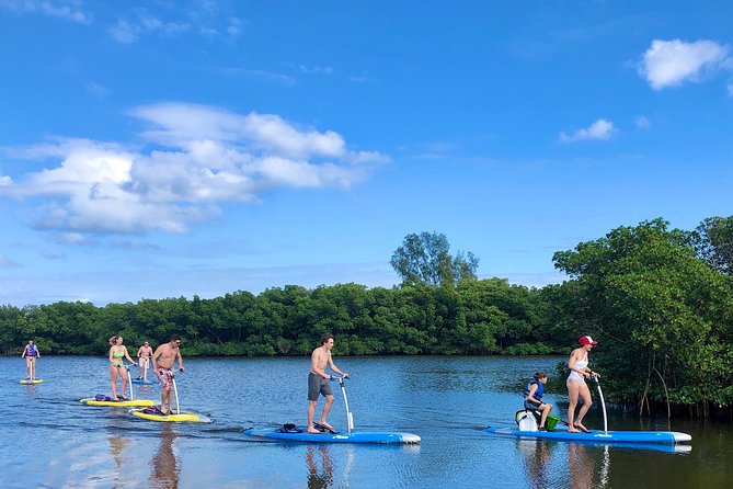 Dolphin & Manatee Watching Stand Up Pedalboarding Tour - Stand-Up Pedalboarding Experience