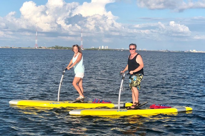 Dolphin & Manatee Watching Stand Up Pedalboarding Tour - Observing Wildlife and Biodiversity