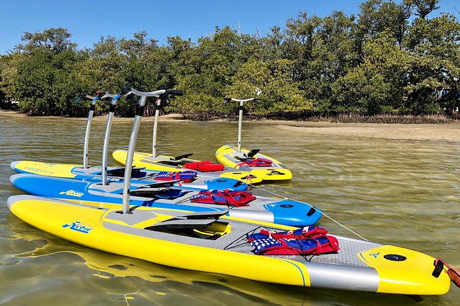 Dolphin & Manatee Watching Stand Up Pedalboarding Tour - Guided Tour and Instruction