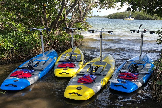 Dolphin & Manatee Watching Stand Up Pedalboarding Tour - Meeting and Pickup Details
