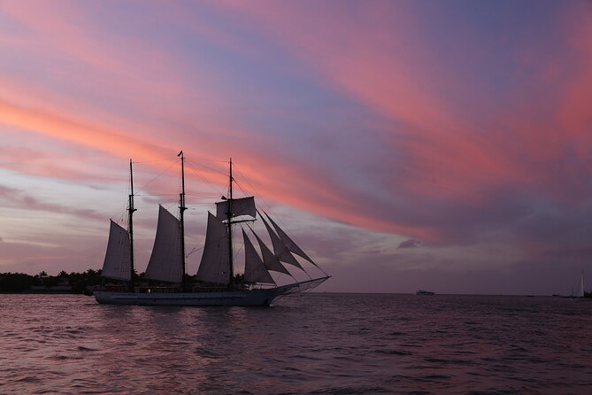 Dolphin Morning Watching & Snorkeling + Open Bar + 1 Day Hop-On Hop-Off Fun - Tour Start and End