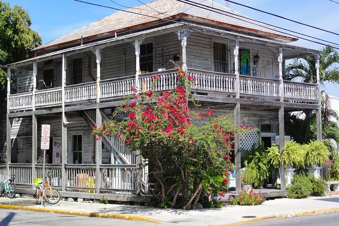 Dolphin Morning Watching & Snorkeling + Open Bar + 1 Day Hop-On Hop-Off Fun - Ratings and Reviews