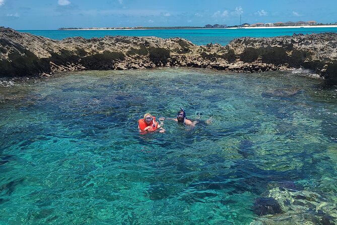 Dolphin Museum and Wild Dolphins Land and Sea Adventure - Snorkeling and Equipment Provided