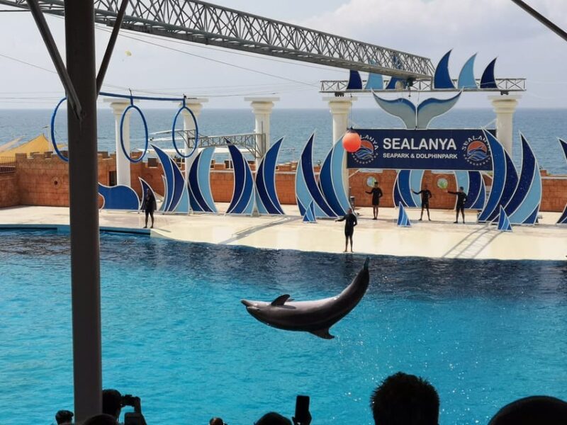 Dolphin Park Entry With Live Show and Pickup - Location and Show Details