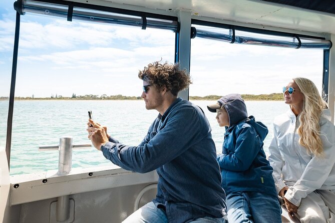 Dolphin, Penguin and Sea Lion Cruise - Accessibility and Logistics