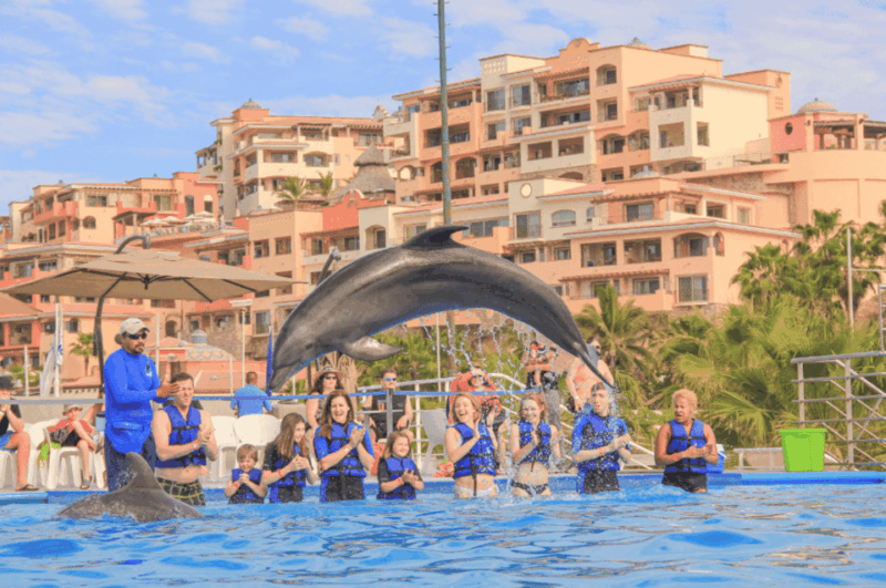 Dolphin Premium Swim: Interactive Adventure - Pickup and Transportation