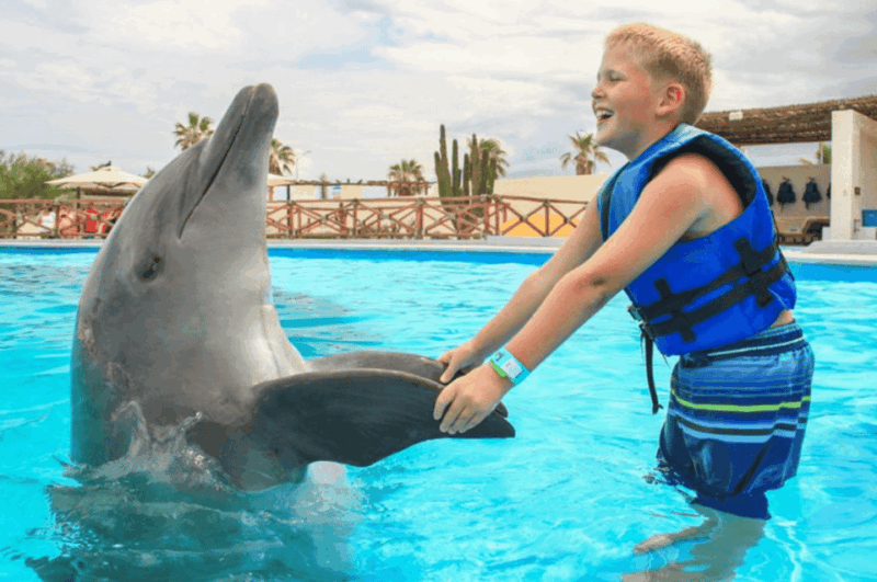Dolphin Premium Swim: Interactive Adventure - Cancellation and Reservations