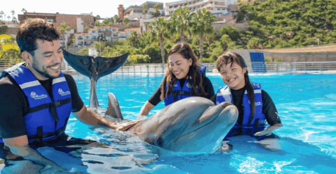 Dolphin Premium Swim: Interactive Adventure - Age and Health Restrictions
