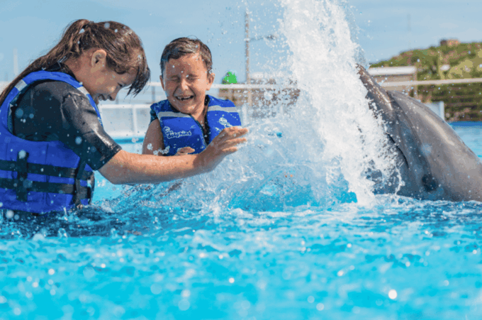 Dolphin Premium Swim: Interactive Adventure - Bring and Prohibited Items