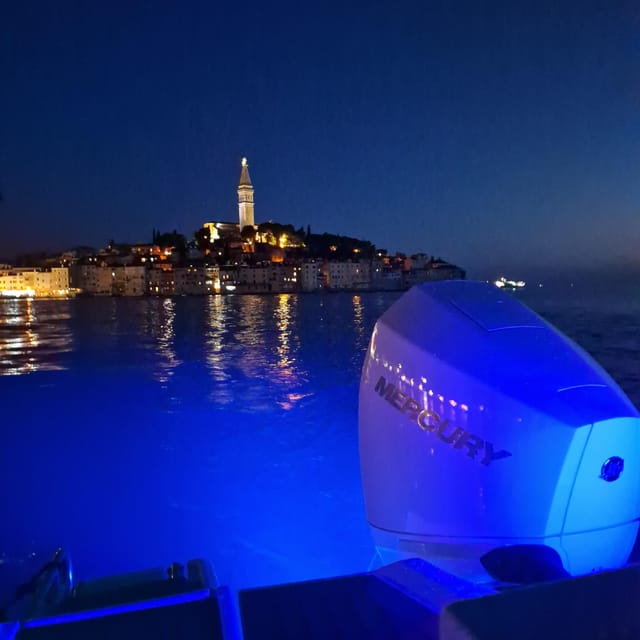 Dolphin Private Sunset Tour Rovinj - Inclusions