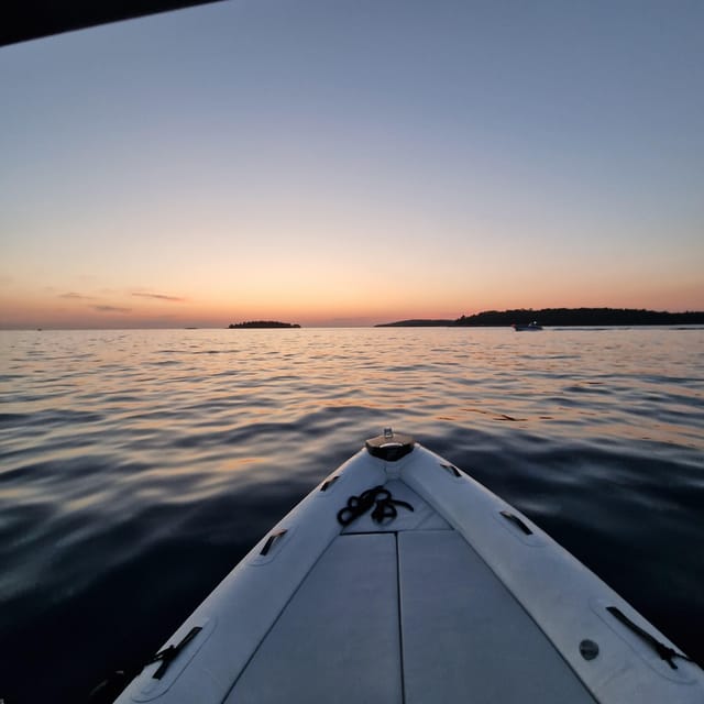 Dolphin Private Sunset Tour Rovinj - Scenic Drive by Sea