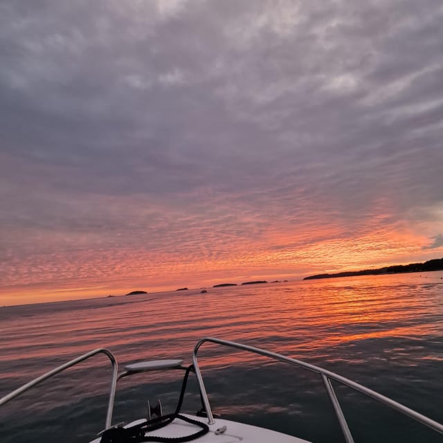 Dolphin Private Sunset Tour Rovinj - Dolphin Watching