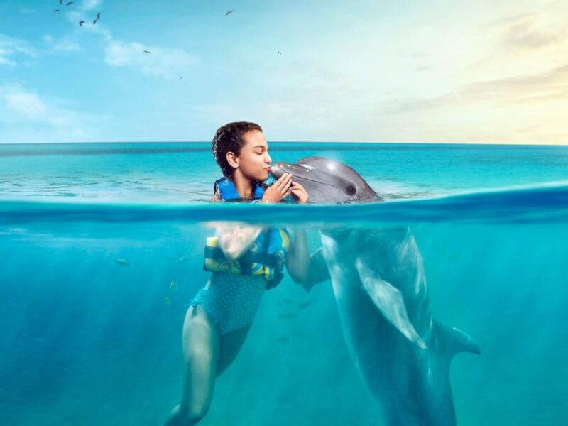 Dolphin Royal Swim VIP in Isla Mujeres - Inclusions and Transportation