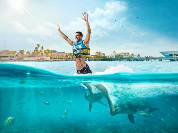 Dolphin Royal Swim VIP in Isla Mujeres - Meeting Point and Directions