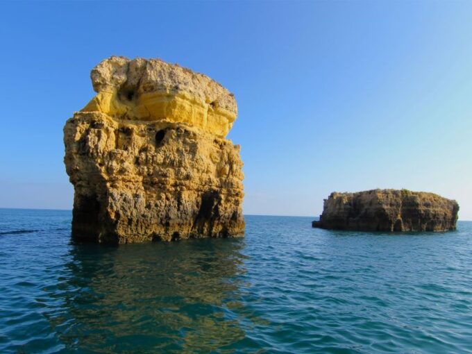 Dolphin Safari and Cave Tour in Vilamoura - Frequently Asked Questions