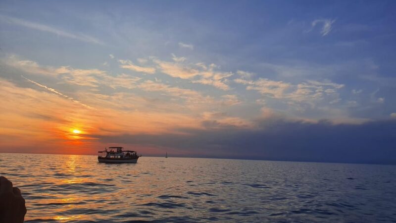 Dolphin Safari Every Evening - Good To Know
