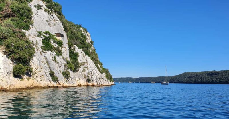 Dolphin Safari Every Evening - Pricing and Booking