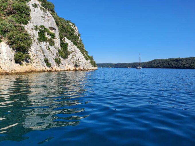 Dolphin Safari Every Evening - Included Amenities