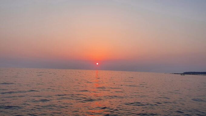 Dolphin Safari Every Evening - Frequently Asked Questions