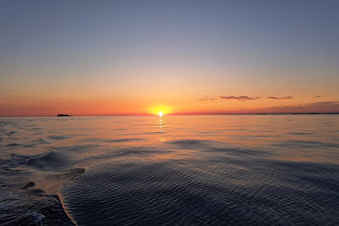 Dolphin Safari in Fažana - Included Amenities