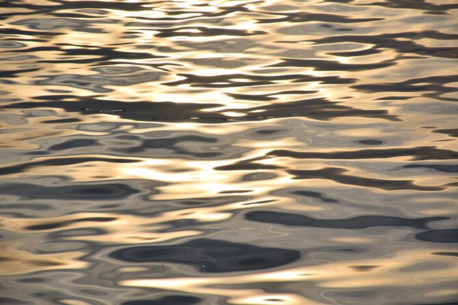 Dolphin Safari in Fažana - Accessibility and Health Restrictions