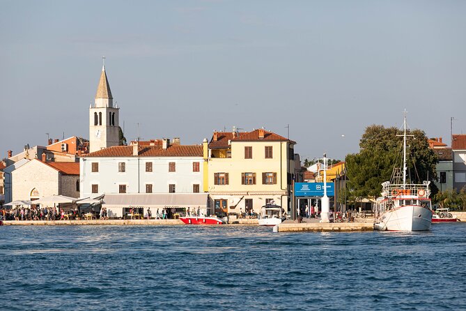 Dolphin Safari in Fažana - Reviews and Feedback