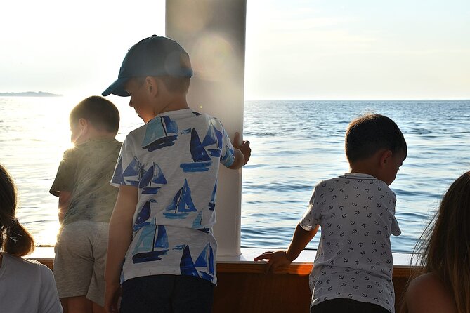 Dolphin Safari in Fažana - Boat and Cruise Experience