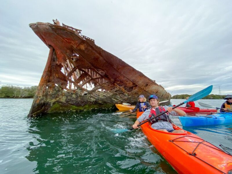 Dolphin Sanctuary and Ships Graveyard Kayak Tour - Tour Experience