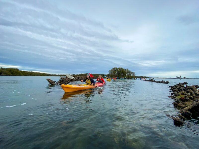 Dolphin Sanctuary and Ships Graveyard Kayak Tour - Preparation and Requirements