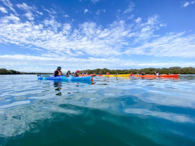 Dolphin Sanctuary and Ships Graveyard Kayak Tour - Recap