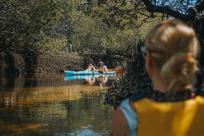 Dolphin Sanctuary Kayak Tour Adelaide - Exploring the Sanctuary