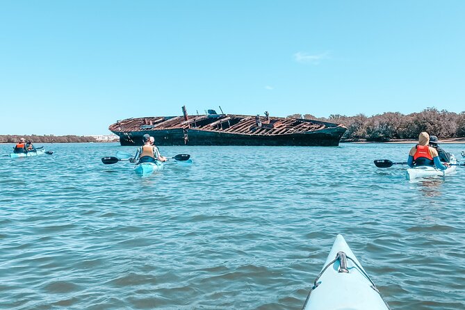 Dolphin Sanctuary Kayak Tour Adelaide - Guest Reviews and Ratings