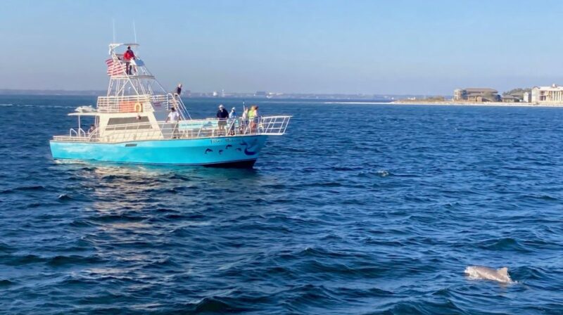 Dolphin & Scenic Bay Sightseeing Cruise Up to 49, Pensacola - Onboard Amenities and Features