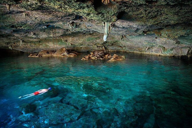 Dolphin, Sea Cave & Captain Cook / Kealakekua Bay Reef Snorkel - Key Points
