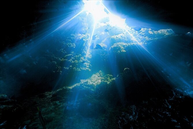 Dolphin, Sea Cave & Captain Cook / Kealakekua Bay Reef Snorkel - Medical Considerations