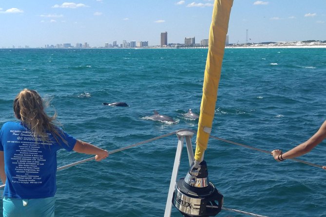 Dolphin Sightseeing Tour on the Footloose Catamaran From Panama City Beach - Duration and Accessibility