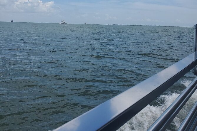 Dolphin Sightseeing Tour With Guide - Additional Information