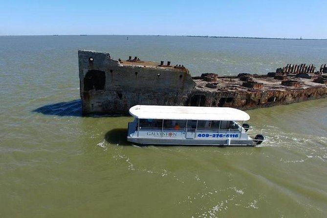 Dolphin Sightseeing Tour With Guide - Positive Reviews