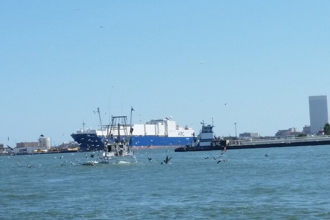 Dolphin Sightseeing Tour With Guide - Directions to Pier 21