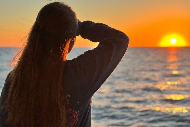 Dolphin Sunset Cruise with Drinks Included - Practical Details to Know