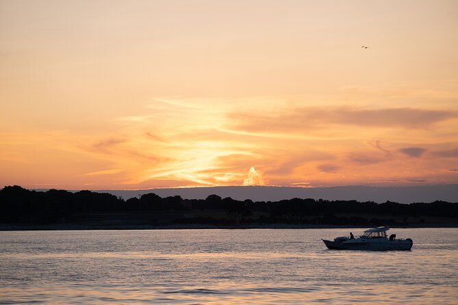 Dolphin & Sunset Tour With Brijuni Panorama - Meeting and Departure