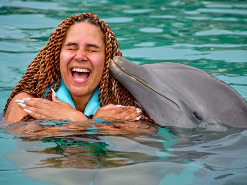 DOLPHIN SWIM ADVENTURE ISLA MUJERES - Booking and Payment