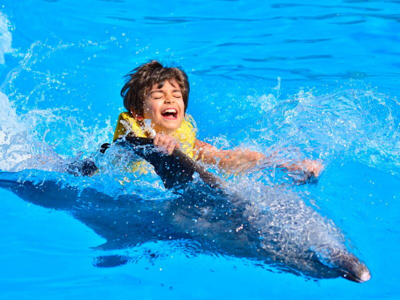 DOLPHIN SWIM ADVENTURE ISLA MUJERES - What to Expect