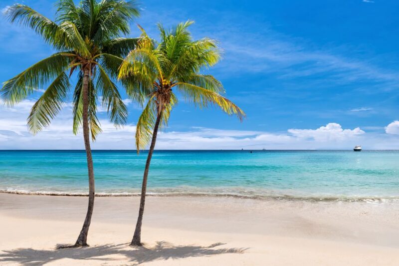 Dolphin Swim Encounter – Dolphin Cove, Ocho Rios, Jamaica - Inclusions and Exclusions