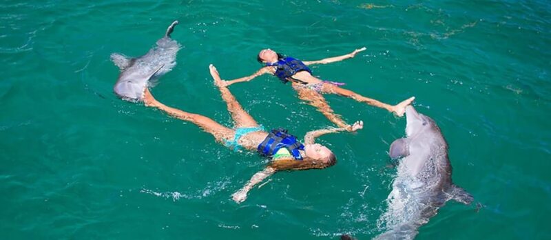Dolphin Swim in Punta Cana – Best 60-min Dolphin Discovery - Health and Safety Considerations