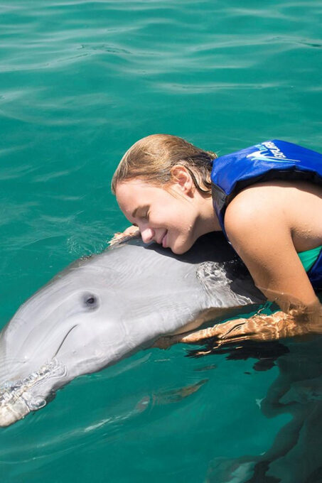 Dolphin Swim in Punta Cana – Best 60-min Dolphin Discovery - Environmental Protections
