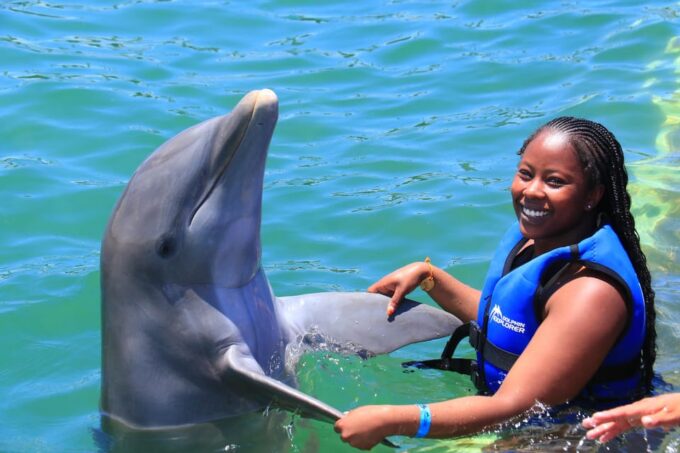 Dolphin Swim in Punta Cana – Best 60-min Dolphin Discovery - Recap